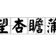 望杏瞻蒲 望杏瞻蒲