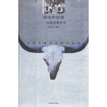 詩性的智慧 詩性的智慧