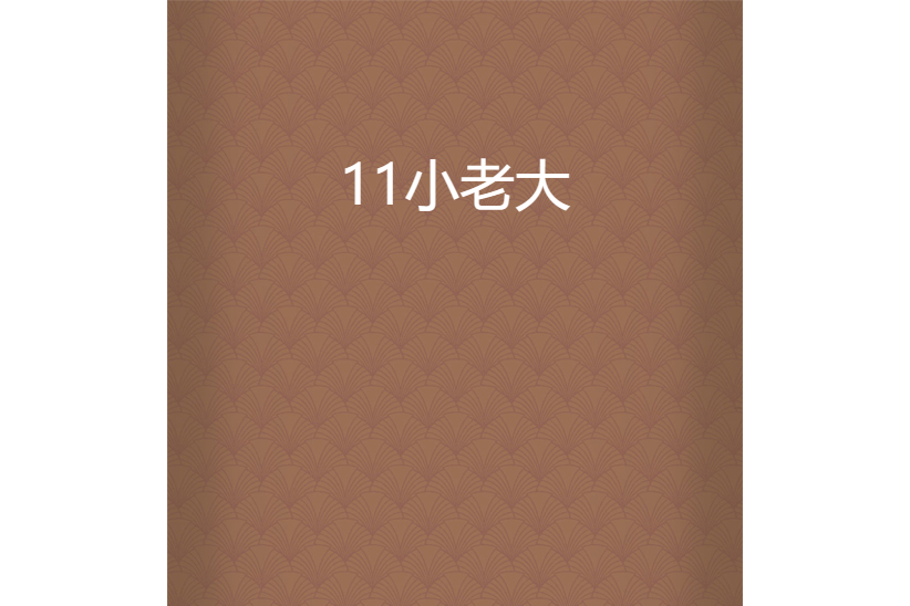11小老大 11小老大