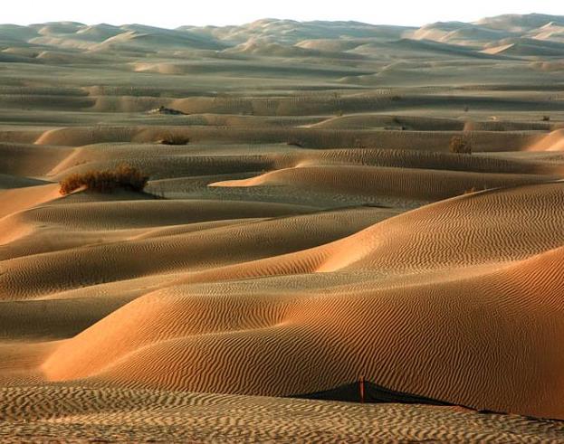 中國八大沙漠
