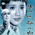 楊乃武與小白菜(1990年李莉執導大陸版電視劇)