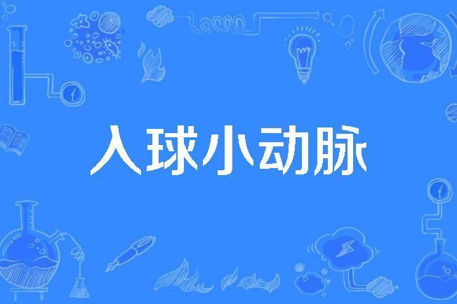進球小動脈 進球小動脈