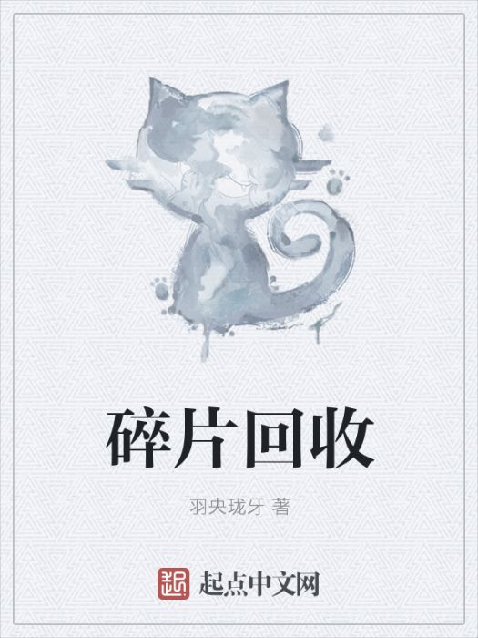 碎片回收