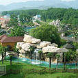後坡村(山西省運城市夏縣瑤峰鎮後坡村) 後坡村(山西省運城市夏縣瑤峰鎮後坡村)
