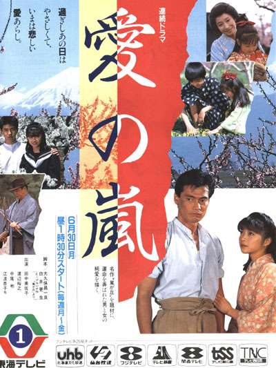 愛的風暴(1986年日本小野俊和等執導電視劇)
