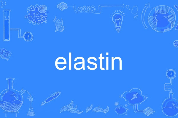 elastin elastin