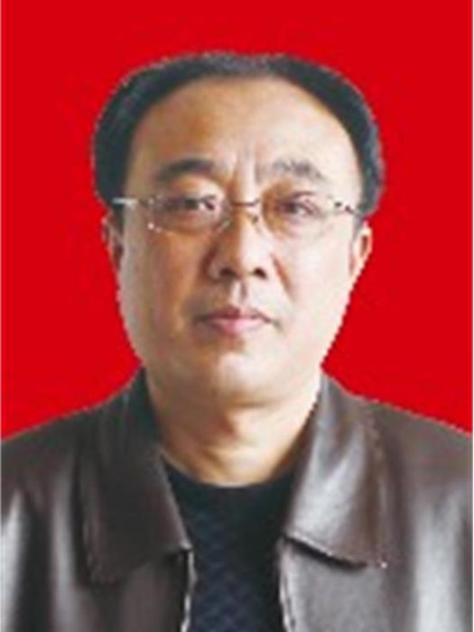 吳文強(安徽省天長市發展改革委黨組書記、主任(局長)) 吳文強(安徽省天長市發展改革委黨組書記、主任(局長))