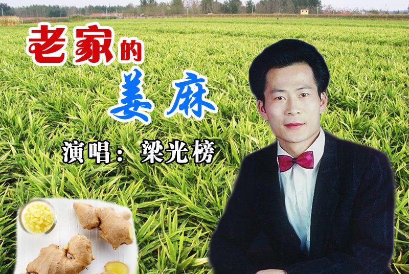 老家的姜麻 老家的姜麻