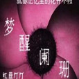 夢醒闌珊 夢醒闌珊