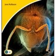 Killer Bees Level 2 Elementary/Lower-intermediate American English Killer Bees Level 2 Elementary/Lower-intermediate American English