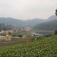 三家村(雲南昆明市晉寧縣二街鄉下轄村)