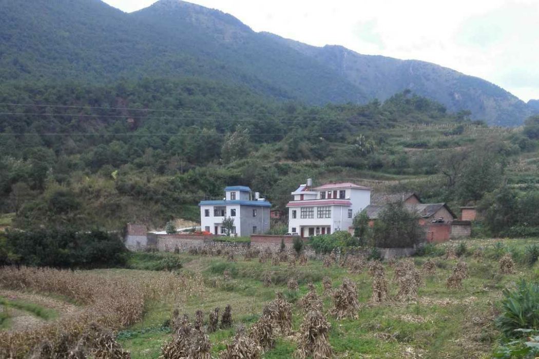 崗彝村(雲南曲靖市龍潭鎮下轄村) 崗彝村(雲南曲靖市龍潭鎮下轄村)