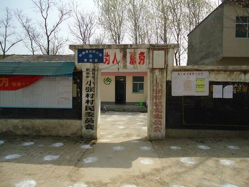 小張村(安徽省界首市靳寨鄉小張村) 小張村(安徽省界首市靳寨鄉小張村)