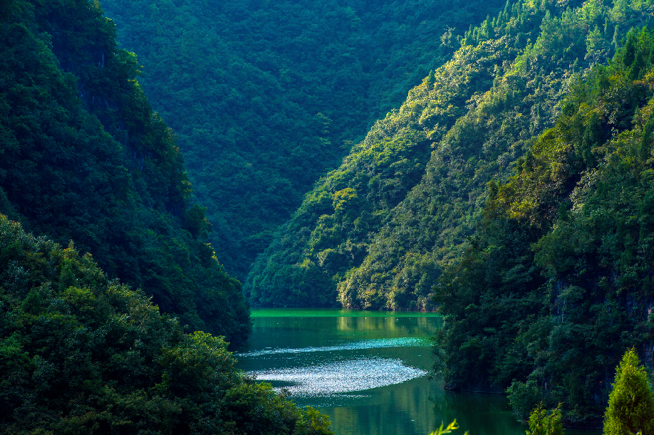 鴛鴦湖國家濕地公園