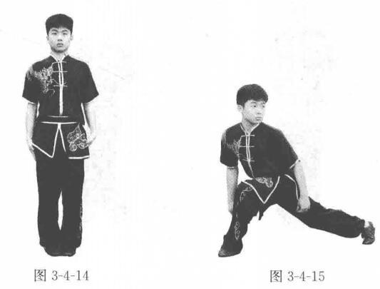 插步(武術步型定位術語) 插步(武術步型定位術語)