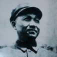 陳光(解放軍著名將領)