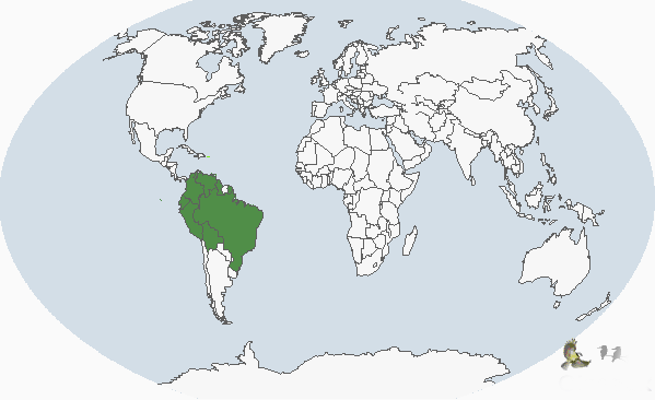 橙翅亞馬遜鸚鵡分布圖