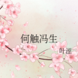 何觸馮生 何觸馮生
