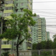 西路大廈 西路大廈