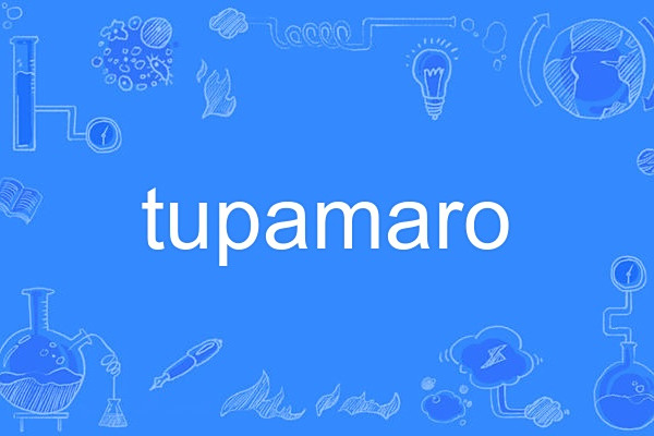tupamaro tupamaro
