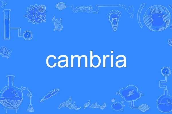 cambria cambria