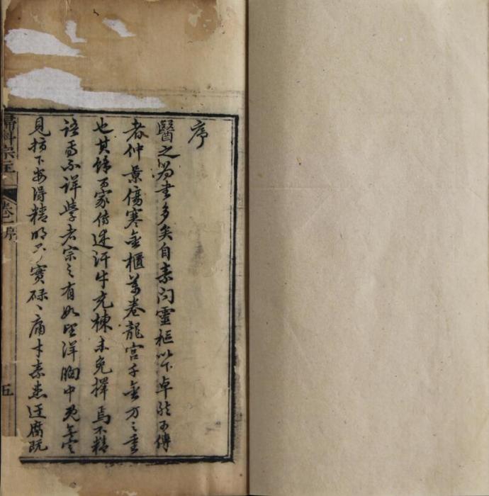 婦科宗主 婦科宗主