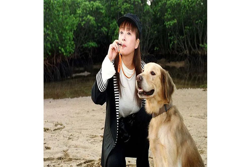 犬笛(2002年南部英夫執導的電影) 犬笛(2002年南部英夫執導的電影)