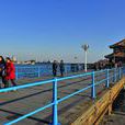 青島棧橋(青島前海) 青島棧橋(青島前海)