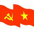 越南共產黨第六次全國代表大會
