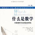 什麼是數學 什麼是數學