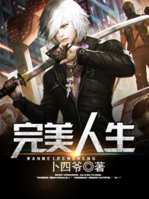 完美人生(卜四爺所著小說) 完美人生(卜四爺所著小說)
