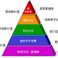 競爭情報系統(CIS（競爭情報系統）)