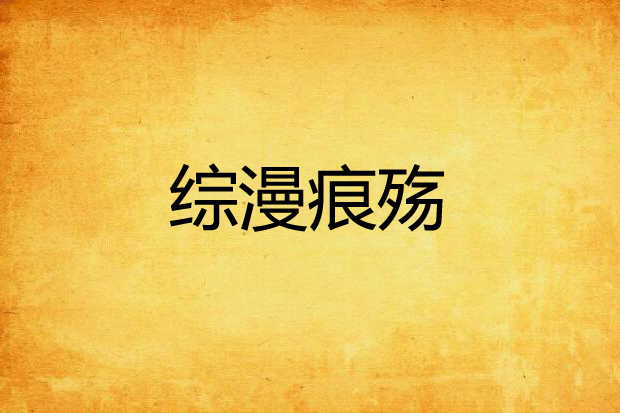 綜漫痕殤