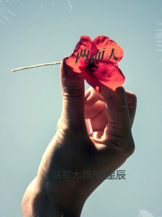 兩面人(駱權大叔演唱的歌曲) 兩面人(駱權大叔演唱的歌曲)