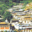 中華村(浙江省嘉興市大橋鄉下轄村)