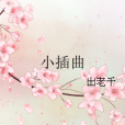小插曲 小插曲