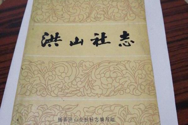 洪山社志 洪山社志