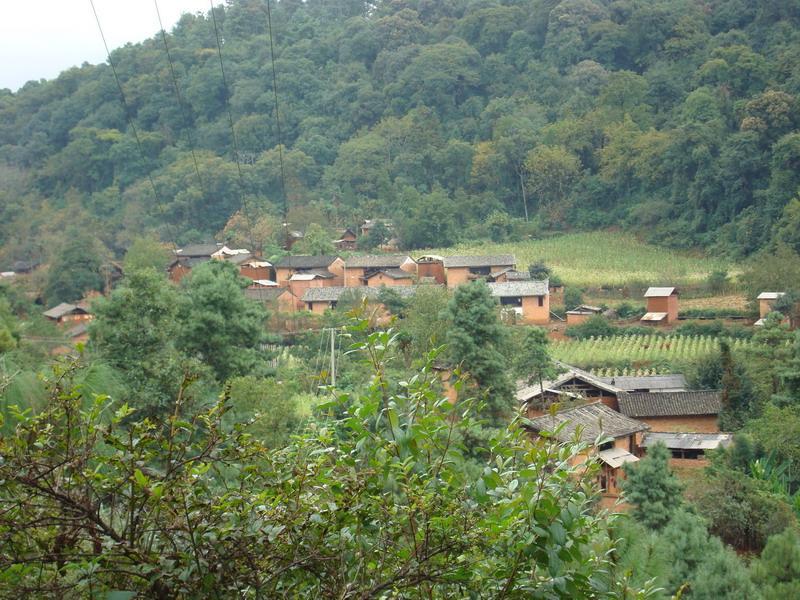 區石村 區石村