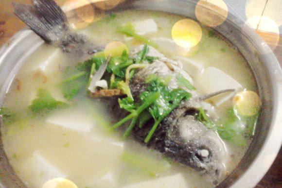 歸芪鯽魚湯 歸芪鯽魚湯