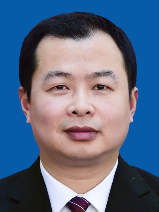 陳林(湖南省醴陵市科技和工業信息化局黨組書記、局長) 陳林(湖南省醴陵市科技和工業信息化局黨組書記、局長)
