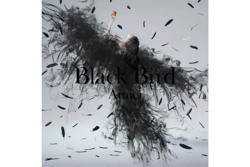 Black Bird Black Bird