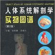 人體系統解剖學實物圖譜(人體系統解剖學實物圖譜（第2版）)