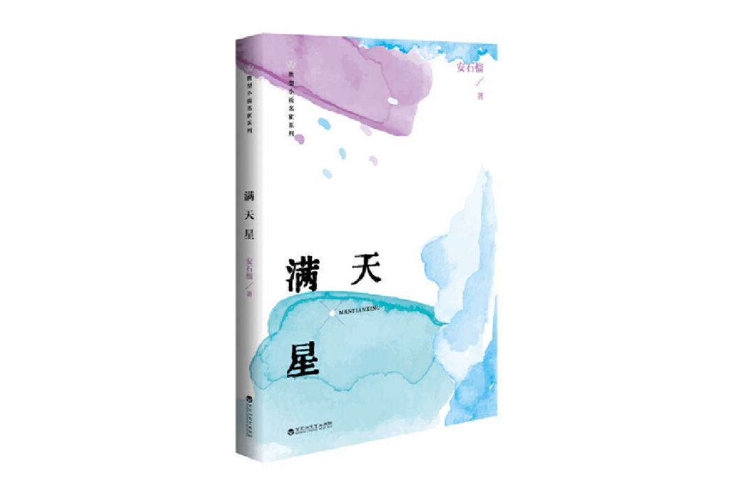 滿天星(2024年百花洲文藝出版社出版的圖書)