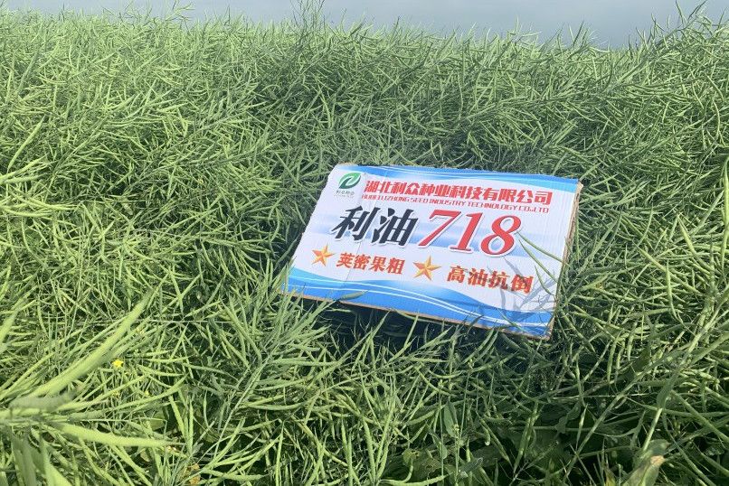 利油718 利油718