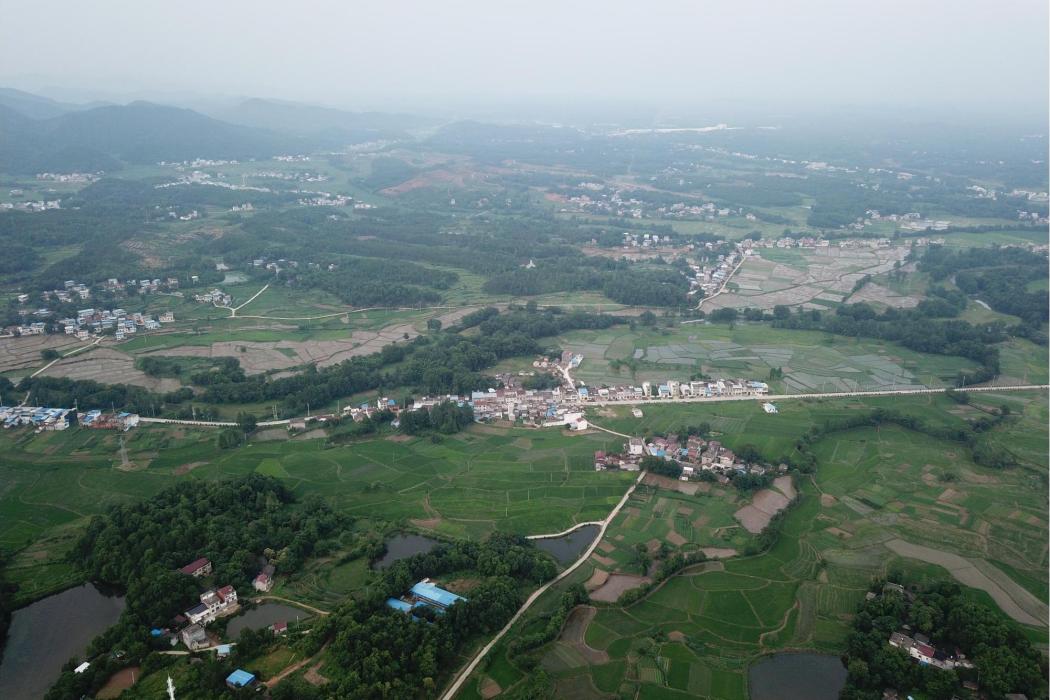 姚家河(安徽省宿松縣境內河流)