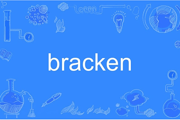 bracken bracken