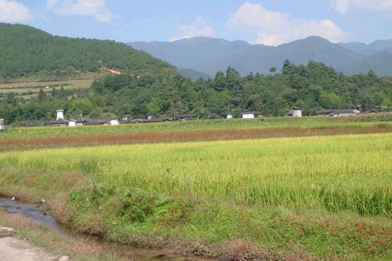 陸家坡 陸家坡