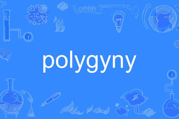 polygyny polygyny