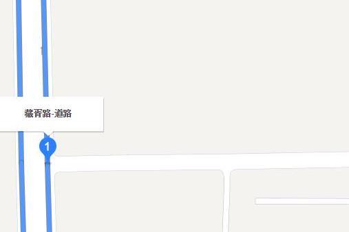 藏胥路 藏胥路