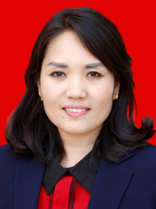 王婧(陝西省渭南市韓城市金城辦黨工委書記) 王婧(陝西省渭南市韓城市金城辦黨工委書記)